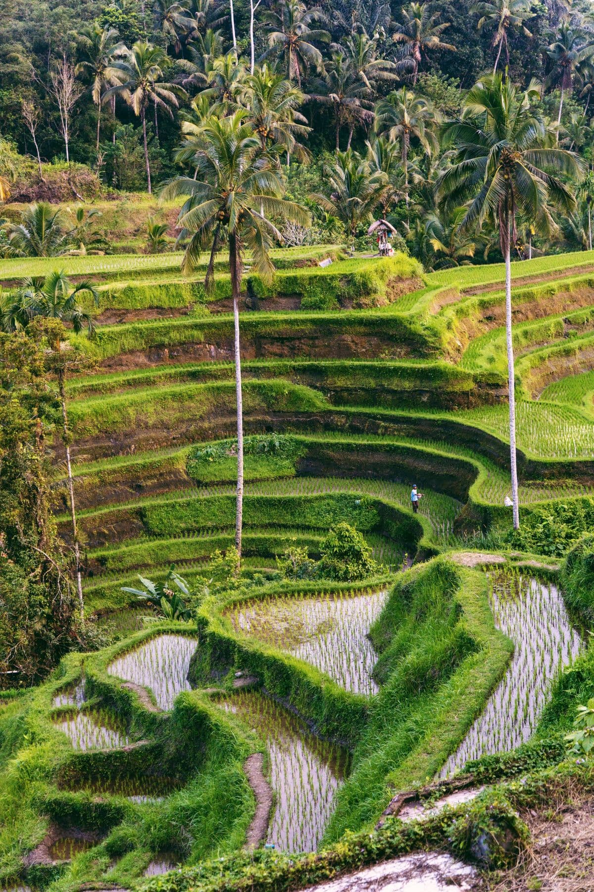 Bali, Indonesia