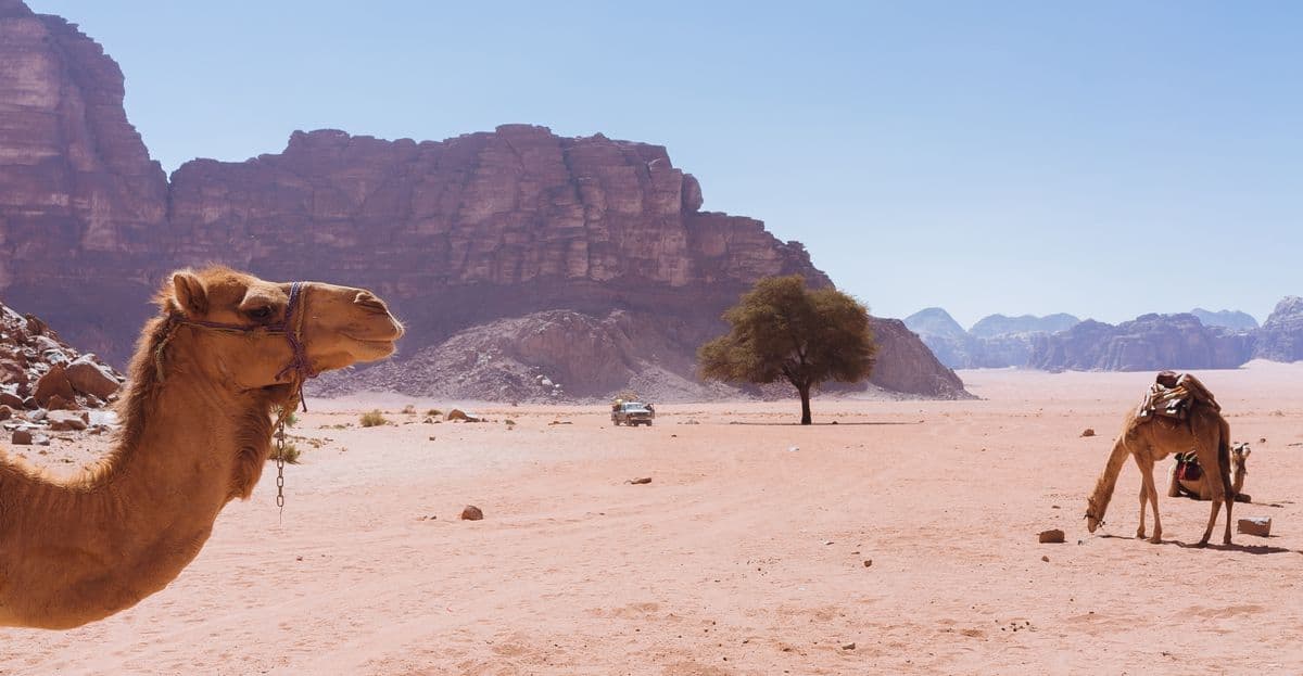 Jordan, Hashemite Kingdom of Jordan