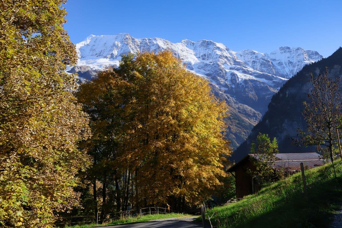Switzerland, Swiss Confederation